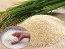 Tp. Hồ Chí Minh: Cung cấp sỉ và lẻ các loại gạo đặc sản CL1369819P6