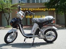 Tp. Hà Nội: Xe đạp điện NiJia giá 8tr8 rẻ nhất Hà Nội CL1365126