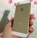 Tp. Hồ Chí Minh: Mình cần bán gấp iphone 5s 16gb màu gold, hàng apple CL1367635