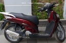 Tp. Hồ Chí Minh: Bán SHi HQ 150cc màu đỏ loại đuôi nhọn bstp CL1370434