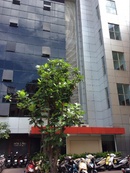 Tp. Hồ Chí Minh: Cao ốc văn phòng Hoa Lâm Building CL1397313