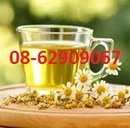 Tp. Hồ Chí Minh: Trà hoa cúc bán ở đâu? CL1375766P2