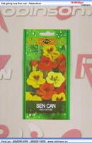 Tp. Hồ Chí Minh: Hạt giống hoa Sen cạn - Nasturtium CL1379080P3