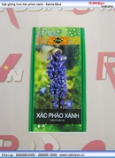 Tp. Hồ Chí Minh: Hạt hoa Xác pháo xanh Salvia Blue CL1379417