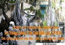 Tp. Hồ Chí Minh: Phân phối Đá trang trí cho các tỉnh. CL1403540