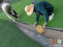 Tp. Hồ Chí Minh: Nhận sửa chữa bảo dưỡng sân cỏ nhân tạo CL1385911