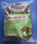 Tp. Hồ Chí Minh: Bán Nấm linh chi Đỏ - Hạ cholesterol, tăng đề kháng, ngừa ung thư- CL1386960