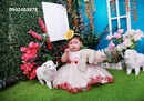 Tp. Hà Nội: Chụp ảnh cho bé với cỏ nhân tạo sân vườn CL1389825