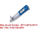 Tp. Hồ Chí Minh: Bút đo pH cầm tay Horiba B-711 CL1024019P14
