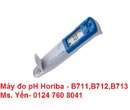 Tp. Hồ Chí Minh: Bút đo pH cầm tay Horiba B-712 CL1395428P13