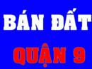 Tp. Hồ Chí Minh: ban đat quận 9 P. TNP A đường 385 CL1395604