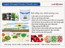 Tp. Hồ Chí Minh: Super Chlorophyll – Diệp lục cô đặc 340k Ms Thanh - 0935 912 412 CL1455741P10