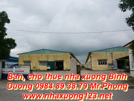 Cho thuê nhà xưởng Bình Dương tại Tân Uyên 2. 500m2 LH 0984893879