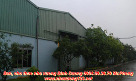 Cho thuê nhà xưởng Bình Dương tại KCN Mỹ Phước, Bến Cát 2. 000m2 LH 0984893879