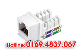 Hop Mang RJ45 100 hạt/ 1 hộp, hop hạt thoại RJ11, nhân RJ45, đế + mặt mạng RJ45