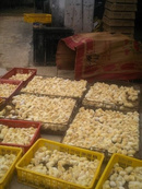 Tp. Hồ Chí Minh: Chuyên cung cấp gà giống vị giống giống gia cầm sỉ lẽ chất lượng cao RSCL1081557