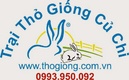 Tp. Hồ Chí Minh: trai tho giong dong nai CL1413423