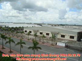 Bán hoặc Cho thuê cụm nhà xưởng tại Thuận An, Bình Dương 17000m2 LH 0984893879