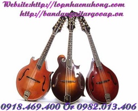 Đàn mandolin , bán đàn mandolin giá rẻ giao hàng trên toàn quốc
