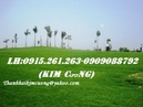 Tp. Hồ Chí Minh: Bán nền nhà 4. 5mx20, KDC Nam Hùng Vương (đường 2G), an lạc Bình tân. Giá 16tr/ m2 CL1419207