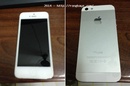Tp. Hồ Chí Minh: Bán iphone 5, 16g màu trắng, quốc tế Singapore rẻ nhanh đây CL1420203