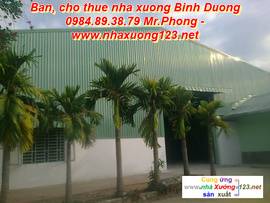 Cho thuê hoặc bán kho, xưởng tại Bình Dương ở xã Thái Hòa, Tân Uyên 3000m2