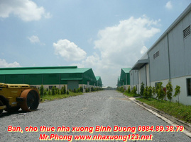 Cho thuê kho , xưởng tại Bình Dương ở KCN VSIP , Thuận An 5000m2 đến 50000m2