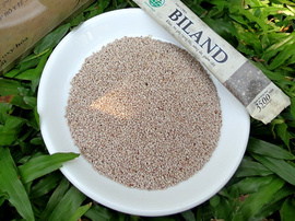 Hạt Chia ÚC Biland - 624k/ kg giá đại lý