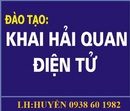 Tp. Hồ Chí Minh: Mở lớp học và thi chứng chỉ khai báo hải quan điện tử CL1249095