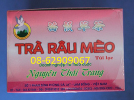 Bán Trà Râu Mèo- Chữa đái rát, đái ít, tống sỏi, lợi tiểu