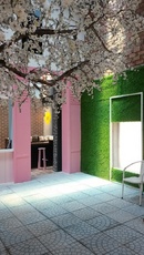 Tp. Hồ Chí Minh: Cung cấp cỏ nhân tạo trang trí Studio, Showroom, quán bar, quán trà sữa RSCL1218342