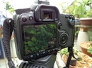 Tp. Hồ Chí Minh: Bán máy ảnh Canon, máy mua mới năm 2010 CL1222020P3