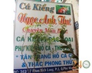 Tp. Hồ Chí Minh: Cung Cấp Cá Kiểng Và Hoa Lan CL1592259