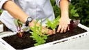 Tp. Hà Nội: Cách trồng rau sạch trong thùng xốp cực tiện dụng RSCL1067574