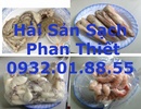 Tp. Hồ Chí Minh: Chuyên Cung cấp Bạch Tuộc, Mực Phan Thiết CL1445071