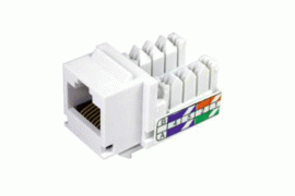 nhân RJ45 amp, nhân RJ11 amp, nhân sino, nhân RJ 45 loại tốt, Nhân Wall plate AM