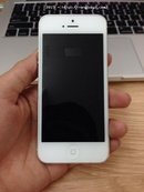 Tp. Hồ Chí Minh: Bán iPhone 5 16GB màu trắng máy Quốc tế. CL1447188