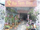 Tp. Hồ Chí Minh: Cung Cấp Hoa Lan Đẹp CL1489303P5