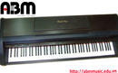 Tp. Hà Nội: Bán đàn Piano điện KAWAI PW 800 CL1478993P9