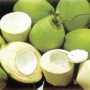 Tp. Hồ Chí Minh: Cung cấp dừa xiêm, dừa khô với giá tốt nhất CL1448661
