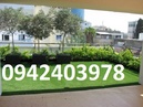 Tp. Hà Nội: Trang trí nhà ngày Tết với cỏ nhân tạo CL1450228