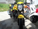 Tp. Hồ Chí Minh: Moto CBR 125 thể thao, màu vàng ba thắng đĩa chính chủ CL1511306P10