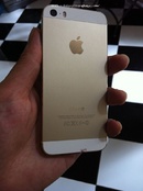 Tp. Hà Nội: Cần bán iPhone 5s white gold 16gb bản QT, máy zin nguyên bản CL1454285
