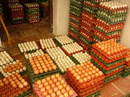 Tp. Hồ Chí Minh: Chuyên cung cấp sỉ và lẻ vĩ đựng trứng các loại CL1456615
