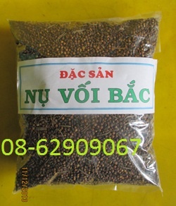 Nụ Vối miền Bắc- Sản phẩm Thanh nhiệt, tiêu thực, giảm mỡ