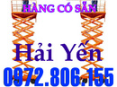 Tp. Hồ Chí Minh: Thang nâng đơn, thang nâng đôi, thang nâng ziczac giá rẻ nhất thị trường CL1459803