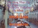 Tp. Hồ Chí Minh: ghita phím lõm chất lượng cao tại Cửa Hàng Nhạc Cụ Nụ Hồng RSCL1064223