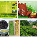 Tp. Đà Nẵng: Bán Trà Tân Cương Thái Nguyên thơm ngon bổ dưỡng cho sức khỏe CL1470829