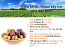 Tp. Hồ Chí Minh: Hãy yêu Khoai tây nhiều hơn bạn nhé! CL1476925