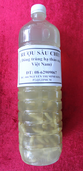 Bán Rượu Sâu Chít- Tăng lực cho quý ông, bồi bổ cơ thể